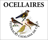 Ocellaires