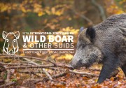 13th International Symposium on Wild Boar and Other Suids
