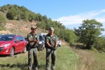 S’alliberen dos xoriguers recuperats del CRFS de Torreferrussa a l’Estany