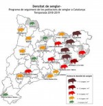 La població de senglars disminueix en gran part de Catalunya