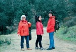 D’esquerra a dreta, Pepi Sánchez, Flòria Llanos i Francesca Márquez, aquest dimecres en un bosc de Llinars FOTO: RAMON FERRANDIS