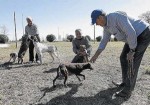 Miembros de la Societat de Caçadors ‘El Lince’ junto con sus perros en el terreno municipal. FOTO: ALBA MARINÉ