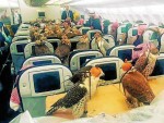 Fotografía publicada en internet por el piloto del avión con los halcones del príncipe saudí abordo. R. C.