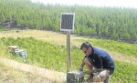 A Colera, Eduard Hugas de Batlle revisa un dels dispositius solars que alimenten els 9 km de pastor elèctric que envolten les seves vinyesper protegir-les dels senglars